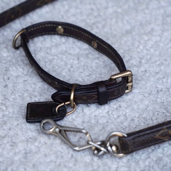 Authentic Louis Vuitton Dog Head Collar with Matching Leash - Small dogs - Picture 13 of 15